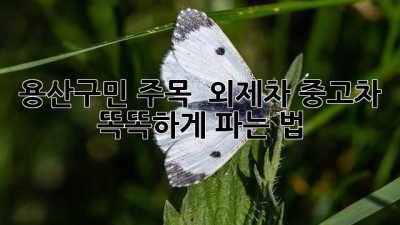 용산구민 주목! 🚗 외제차 중고차, 똑똑하게 파는 법 ✨