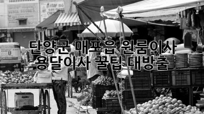 단양군 매포읍 원룸이사, 용달이사 꿀팁 대방출! 🚚📦✨